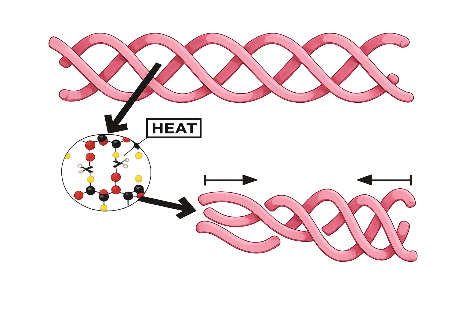 Mechanism Diagram