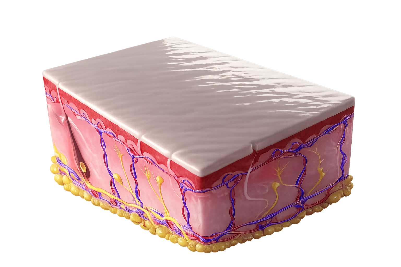 Treatment Mechanism Result